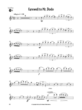 Colours of the World - Flute - Jos van den Dungen - Partition
